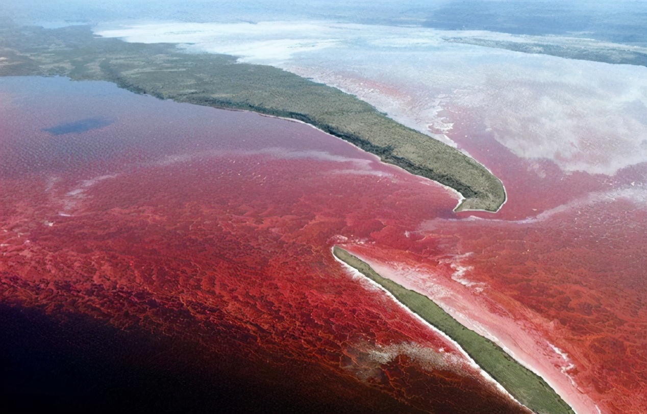 1685934222113443.jpg 赤潮.jpg