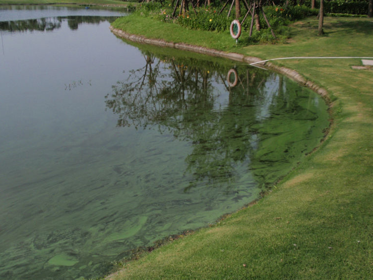 1686294451291464.png 渾濁.png