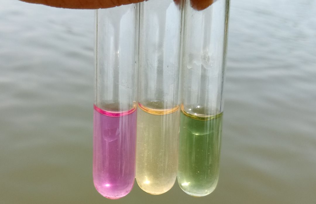 1686721853285022.jpeg 亞硝酸鹽.jpeg