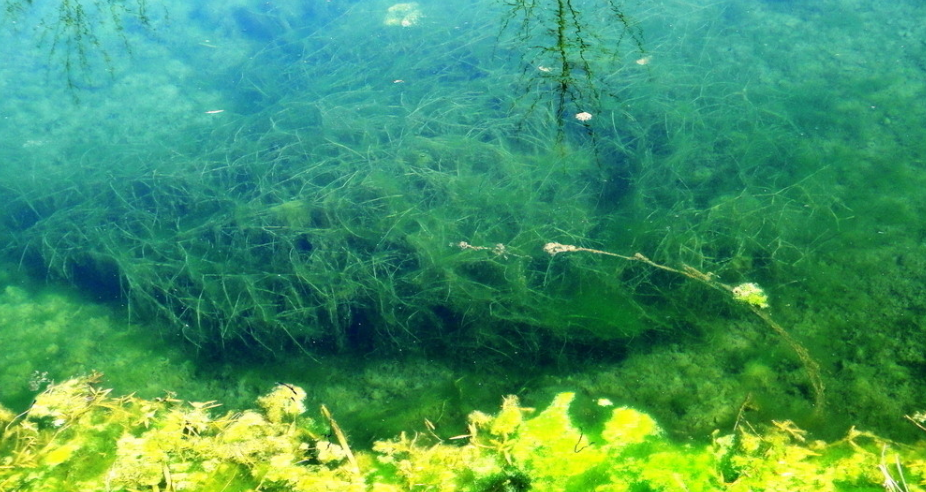 1694592787897799.png 1694592787897799.png