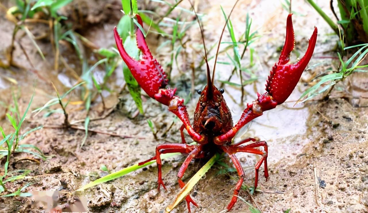 1695006957760465.png 1695006957760465.png