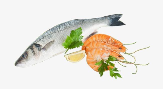 1695352541682854.jpg 水產(chǎn)魚蝦.jpg