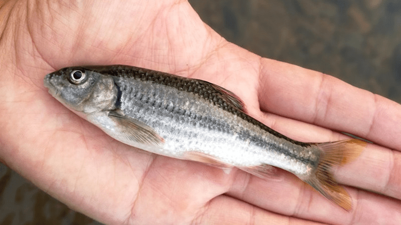 1695352706870536.jpg 1695352706870536.jpg