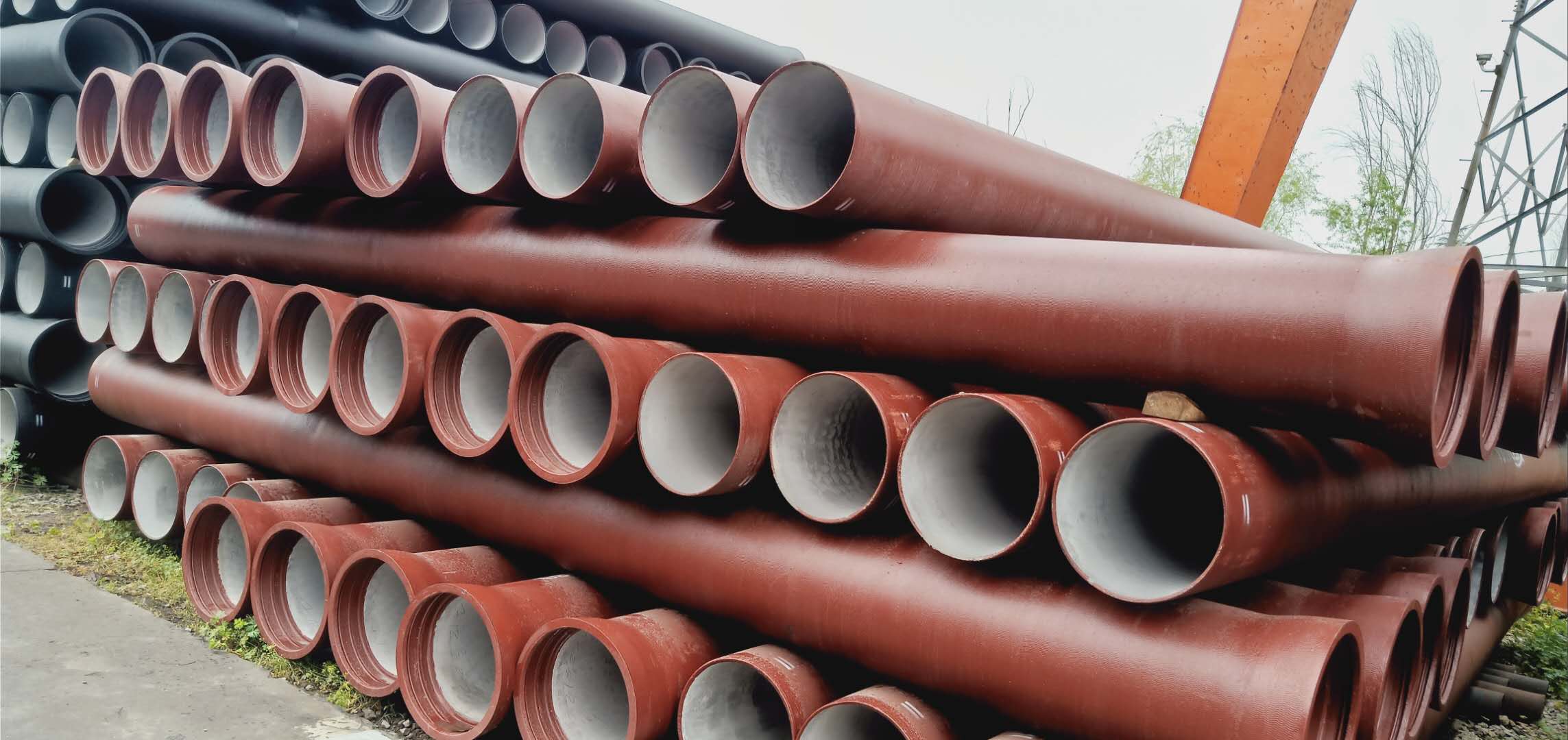 1709620145846845.jpg 1709620145846845.jpg