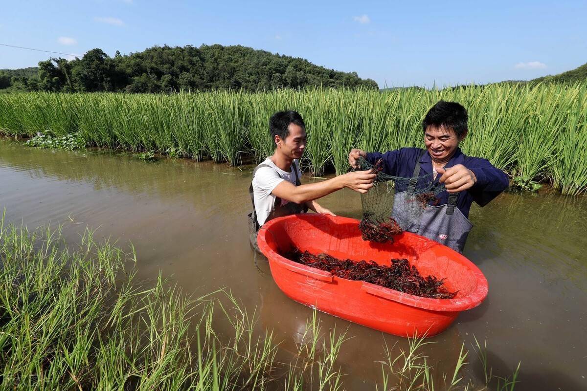 1710124382546545.png 1710124382546545.png