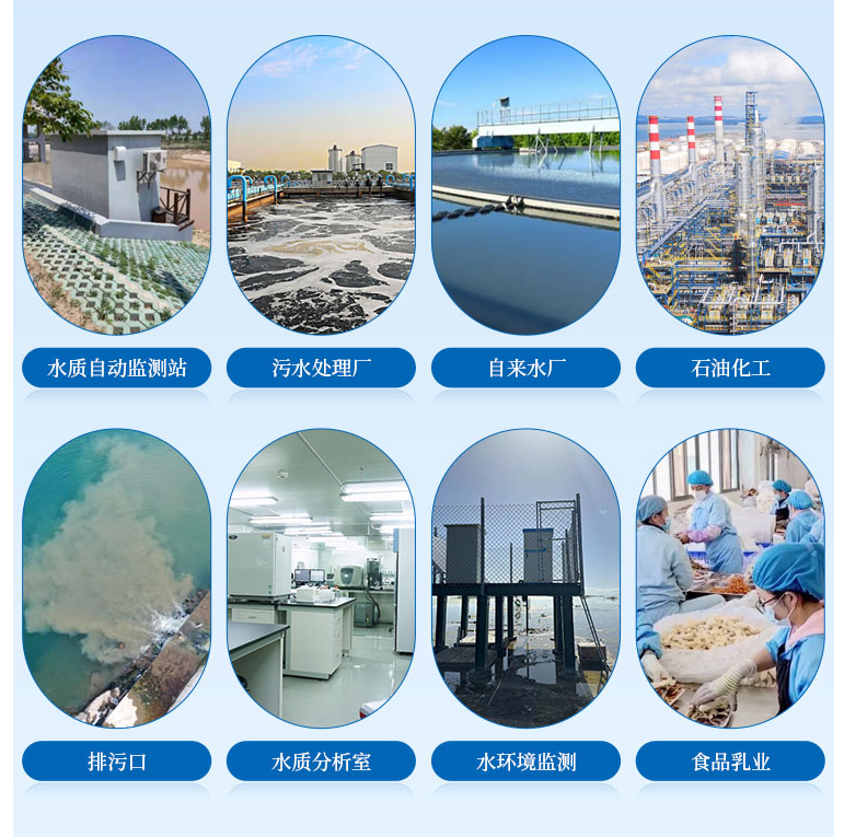 1710903494847680.png 葉綠素行業(yè).png