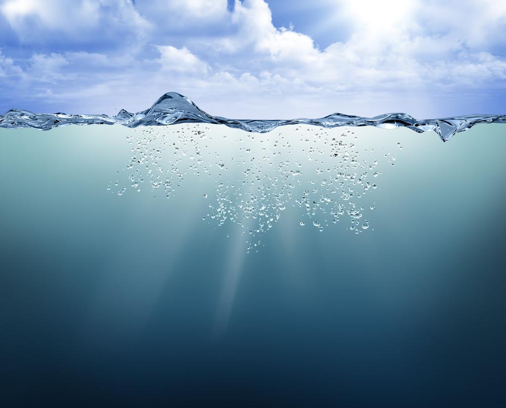 1712643185404410.jpg 1712643185404410.jpg