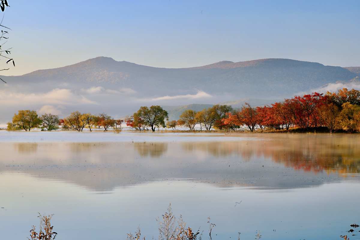 1716347367642622.jpg 1716347367642622.jpg