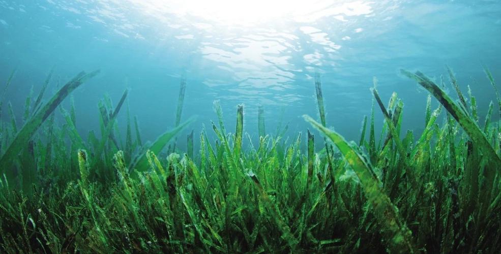 1716791358390562.jpeg 1716791358390562.jpeg