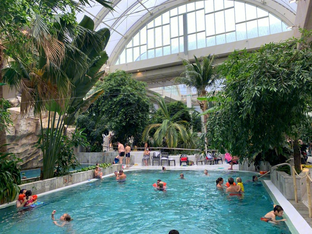 1717210314369421.jpeg 1717210314369421.jpeg