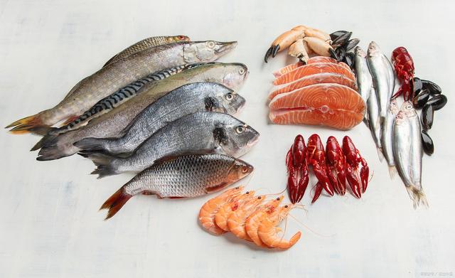 1717210677443343.jpeg 水產(chǎn)養(yǎng)殖.jpeg