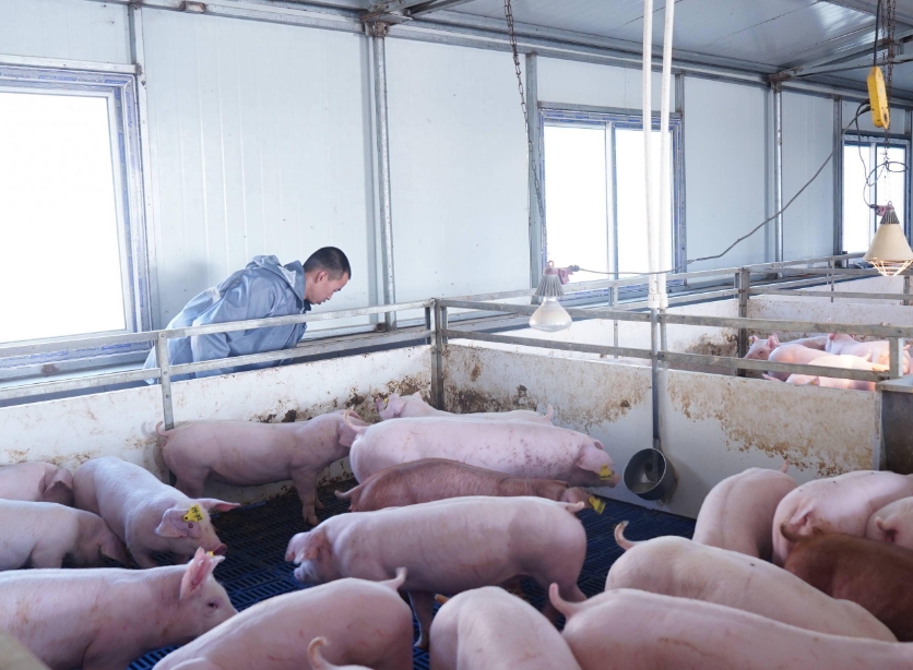 1750732780727810.jpg 1750732780727810.jpg