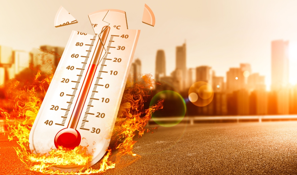 1750733453545206.png 1750733453545206.png