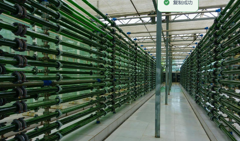 1760671256101764.jpg 1760671256101764.jpg